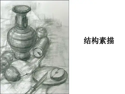 美术精品课件：结构素描