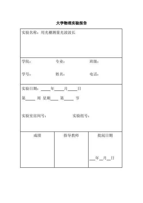 用光栅测量光波的波长(nh5
