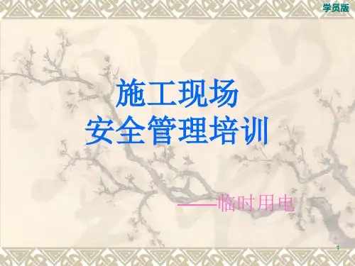 施工现场临时用电安全管理培训PPT课件