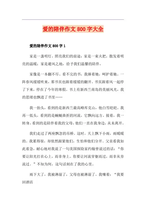 爱的陪伴作文800字大全