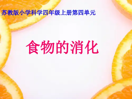 小学精品科学 四年级上册科学课件-4.3 食物的消化｜苏教版 (共23张PPT)