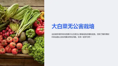 大白菜无公害栽培(教学课件)