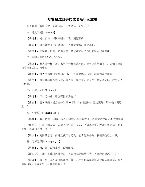 形容超过四字的成语是什么意思