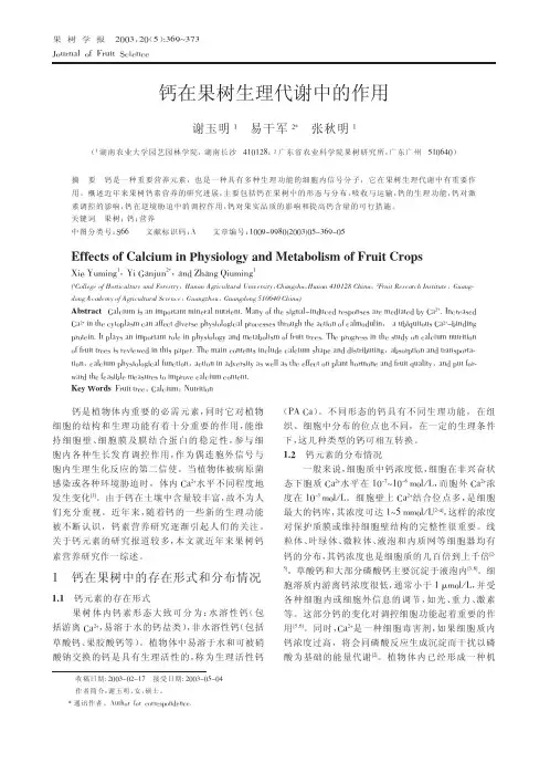 钙在果树生理代谢中的作用