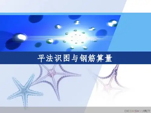 平法识图与钢筋算量--1完整PPT课件