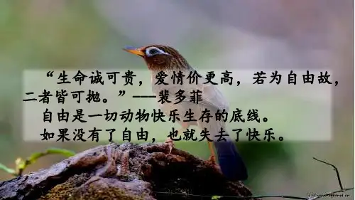 长春版%三年级下册语文《一件小事的震动》