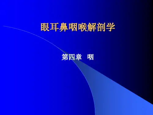 眼耳鼻咽喉解剖学 咽 NXPowerLite 优质课件