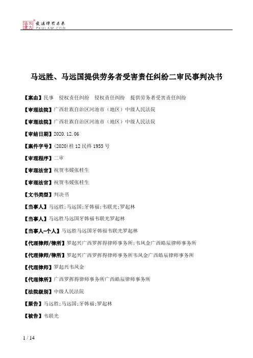 马远胜、马远国提供劳务者受害责任纠纷二审民事判决书