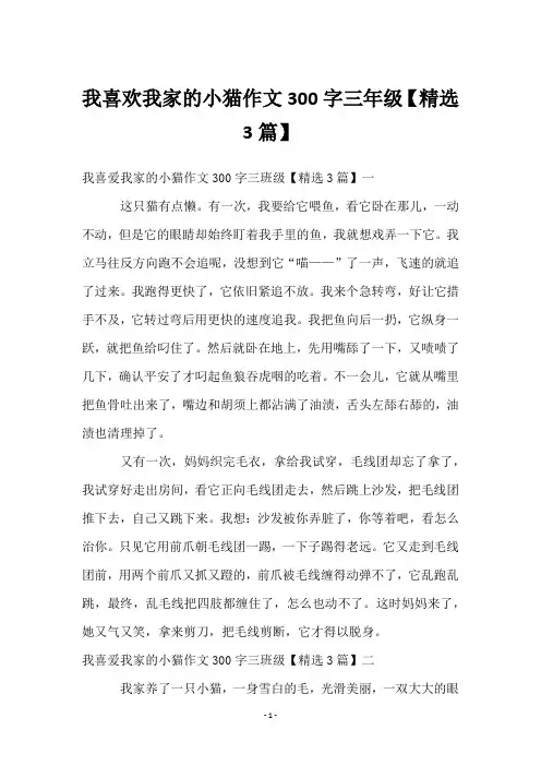 我喜欢我家的小猫作文300字三年级【3篇】