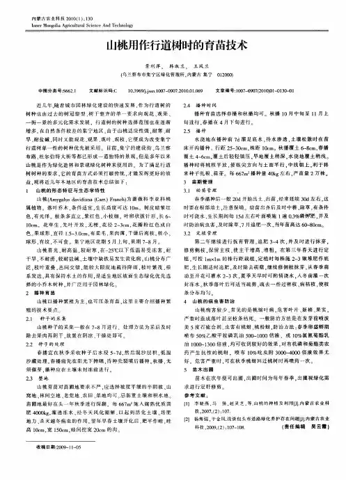 山桃用作行道树时的育苗技术