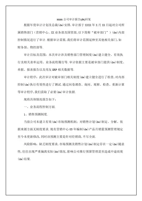 公司审计报告的回复