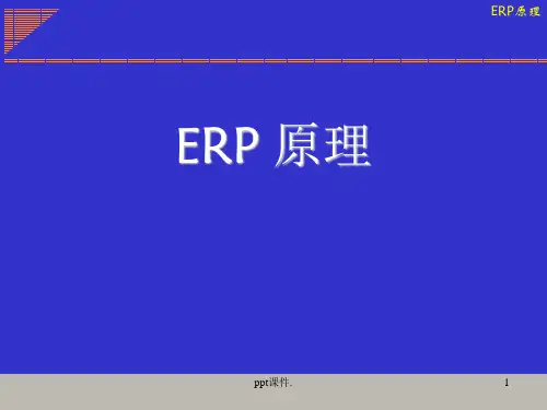 ERP原理ppt课件