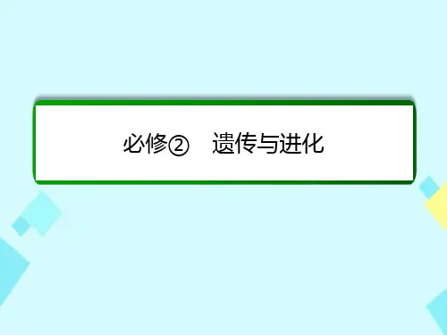 高考生物一轮复习第17讲基因在染色体上伴性遗传课件新人教版必修2
