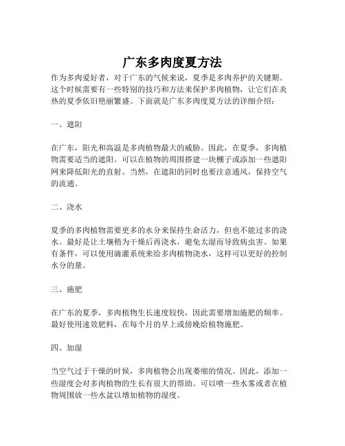 广东多肉度夏方法