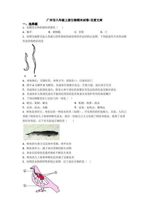 广州市八年级上册生物期末试卷-百度文库 3