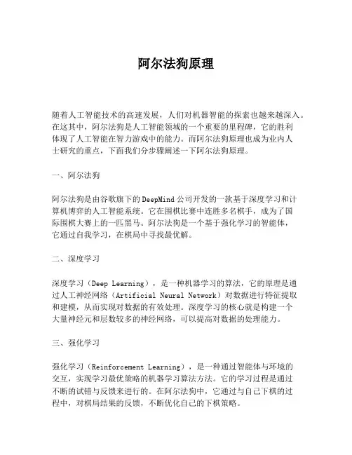 阿尔法狗原理