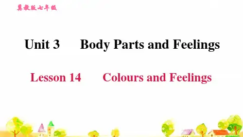 冀教英语七年级上学期Lesson 14 Colours and Feelings