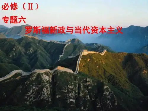 (人民版)专题六罗斯福新政和当代资本主义的新变化