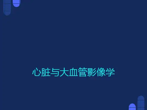 心脏与大血管影像学