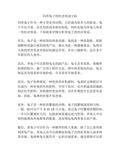 饲养兔子的经济效益分析