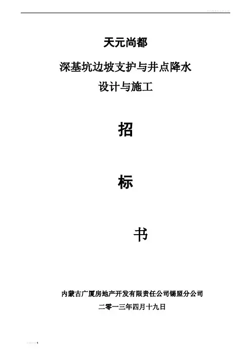基坑边坡支护设计与施工招标书(改)
