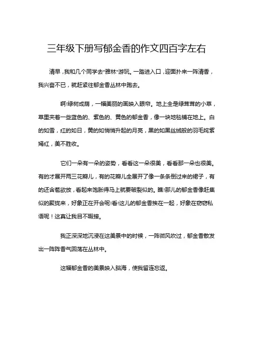 三年级下册写郁金香的作文四百字左右