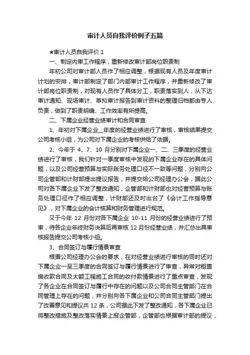 审计人员自我评价例子五篇