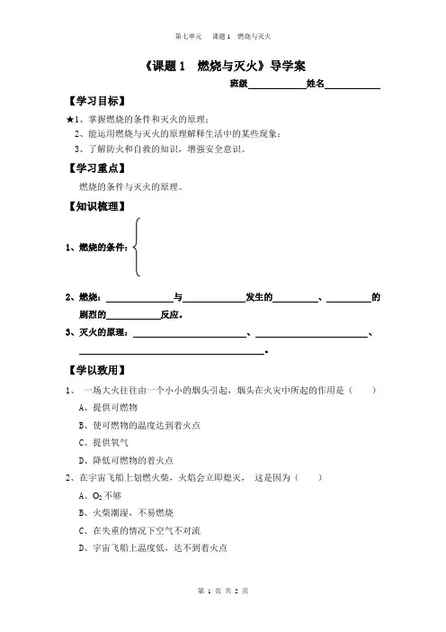 燃烧与灭火 特等奖优质课展示 学案