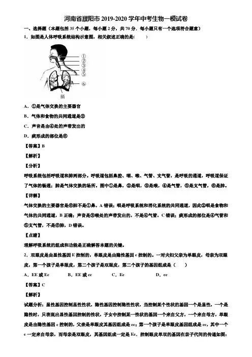 河南省濮阳市2019-2020学年中考生物一模试卷含解析