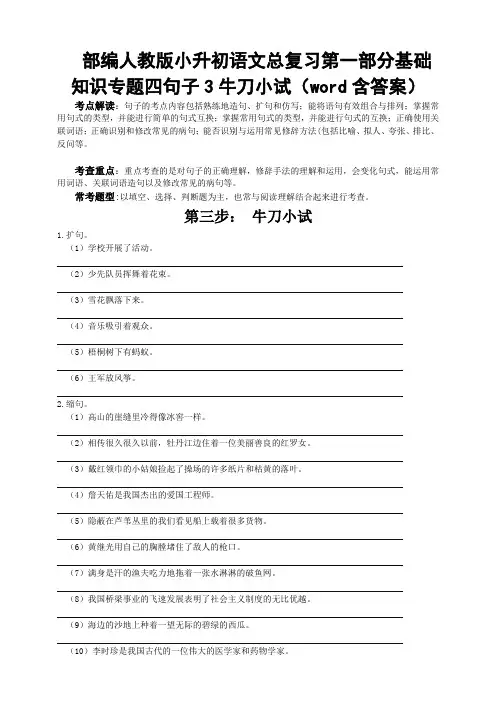 部编版小升初语文总复习第一部分基础知识专题四句子3牛刀小试(word含答案)