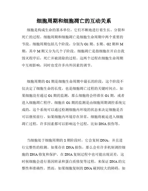 细胞周期和细胞凋亡的互动关系