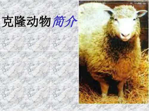 人教版生物七上科学·技术·社会克隆哺乳动克隆动物简介课件