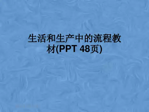 生活和生产中的流程教材(PPT 48页)