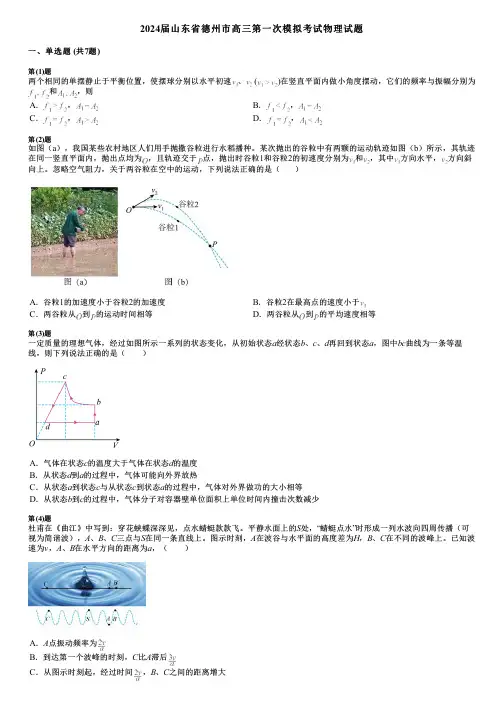 2024届山东省德州市高三第一次模拟考试物理试题
