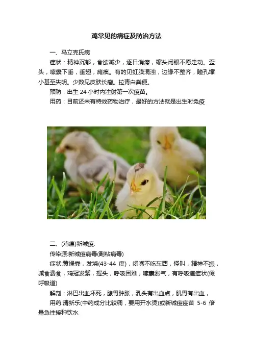 鸡常见的病症及防治方法