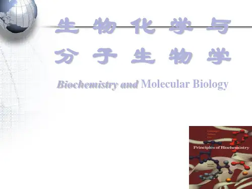 生物化学与分子生物学  ppt课件