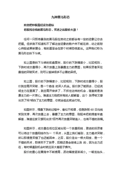 九种黑马形态