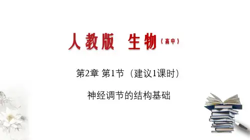 2.1 神经调节的结构基础(课件)(2019人教版选择性必修1)(共23张PPT)