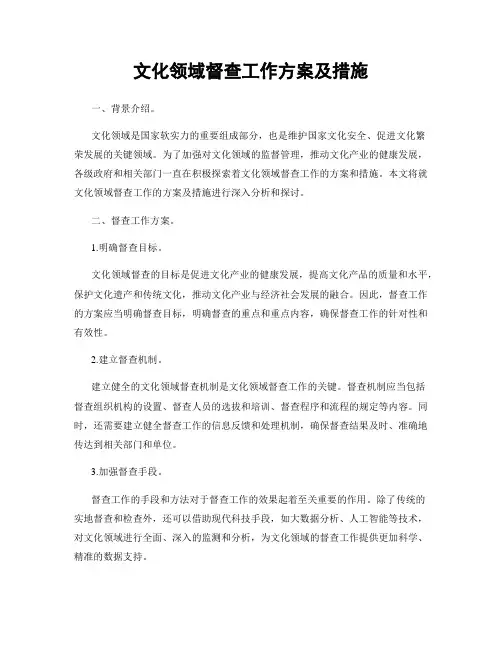 文化领域督查工作方案及措施