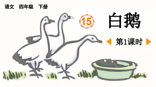 部编人教版语文四年级下册《白鹅》精品课件PPT