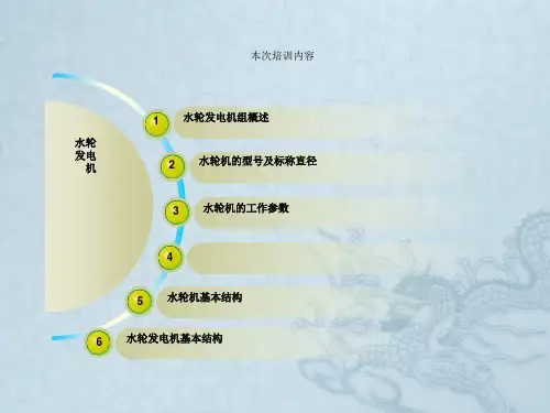 多种水轮发电机组结构原理