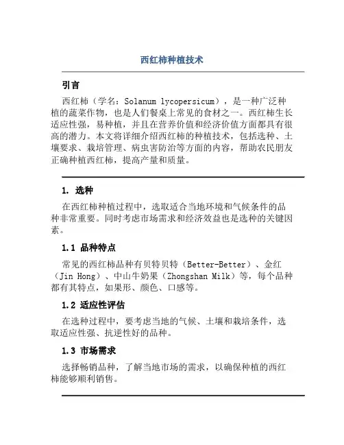 西红柿种植技术 2