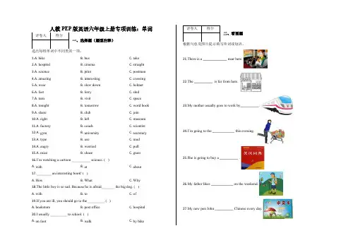 六年级上册英语试题-专项训练：单词    人教PEP版   含答案