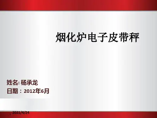 《电子皮带秤》PPT课件