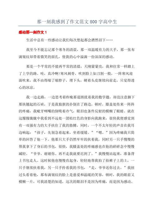 那一刻我感到了作文范文800字高中生