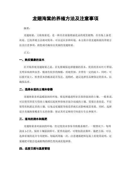 龙翅海棠的养殖方法及注意事项
