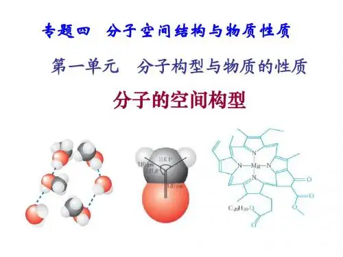 分子的空间构型