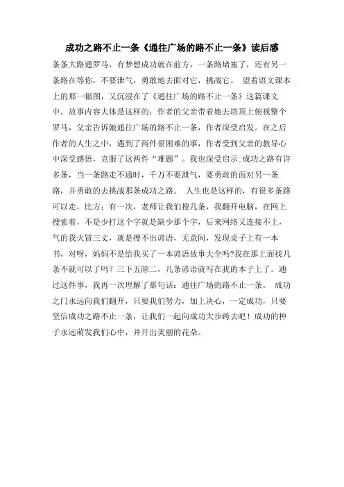 成功之路不止一条《通往广场的路不止一条》读后感