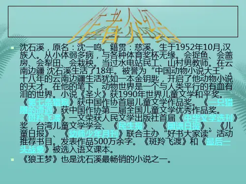 《狼王梦》交流幻灯片精选推荐PPT