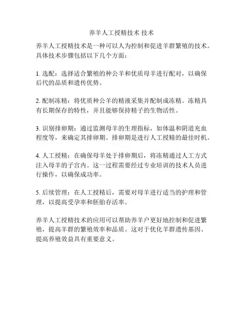 养羊人工授精技术 技术